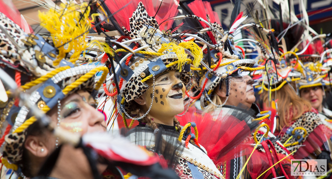 El carnaval se despide en San Roque con el Entierro de la Sardina