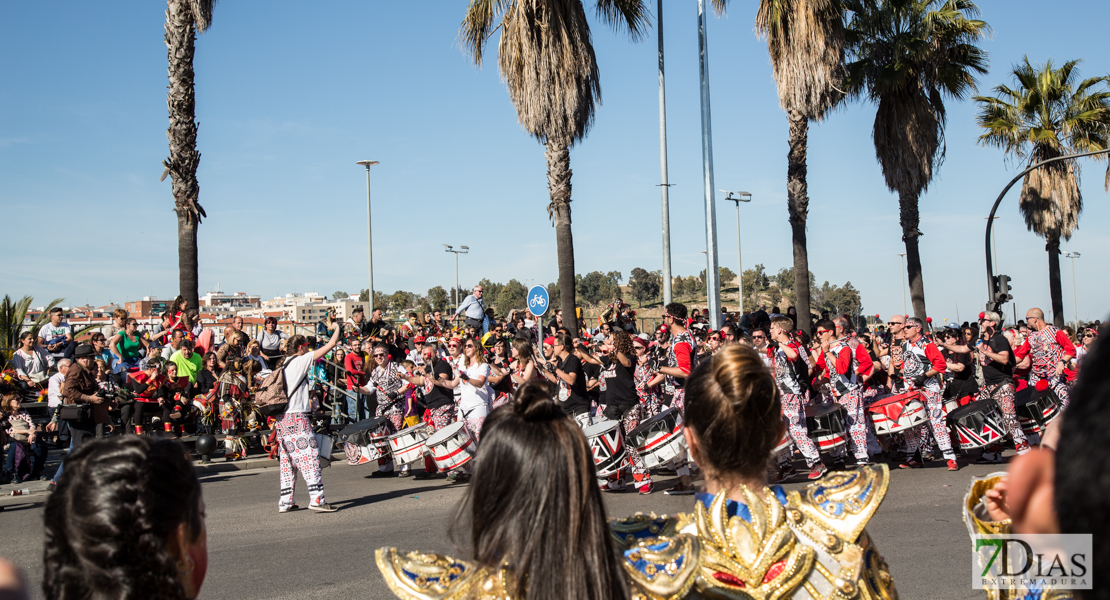 La mejores imágenes de recién estrenada Pasarela Don Carnal