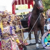 Los mejores estandartes del Desfile de Comparsas del Carnaval de Badajoz