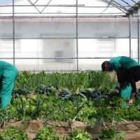 29.000.000 euros para incentivar la agroindustria extremeña