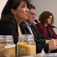 Palazuelo (Badajoz) referente nacional en producción de arroz