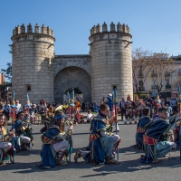 La mejores imágenes de la recién estrenada Pasarela Don Carnal