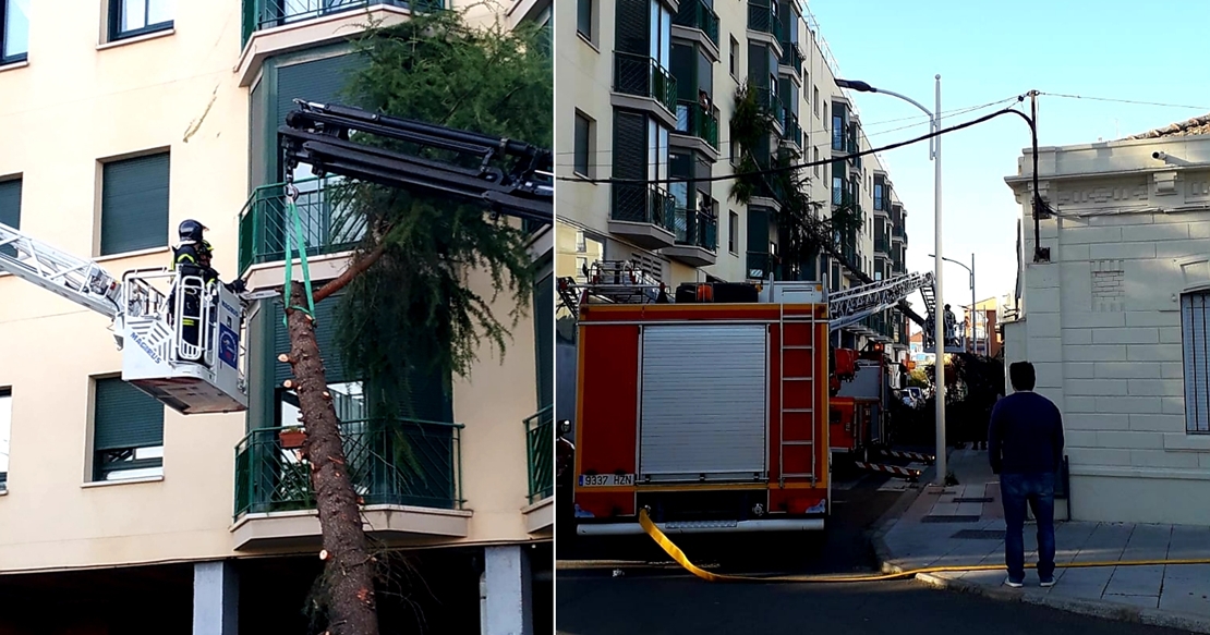 Cae un árbol de grandes dimensiones sobre un piso en Don Benito