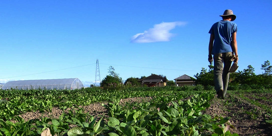 La Junta no abona las ayudas a los jóvenes agricultores, denuncia La Unión