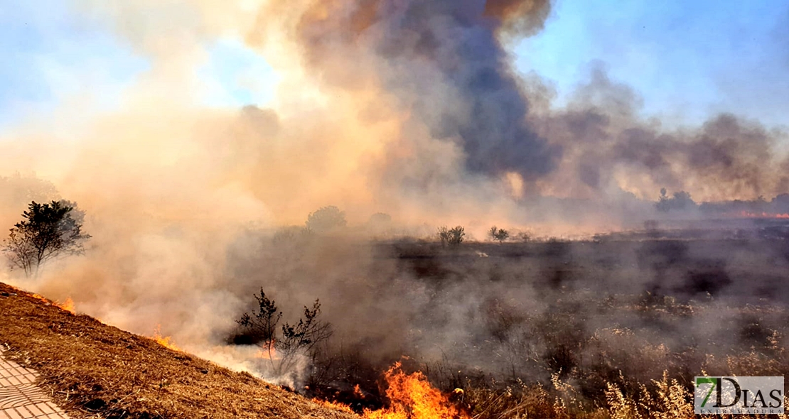 Reabren la circulación en la carretera de Olivenza