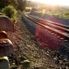 En algunas zonas el tren extremeño no es más que hierro oxidado