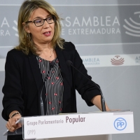 PP: “Nada ha servido para que el SES deje de actuar como comercial de Tenorio”