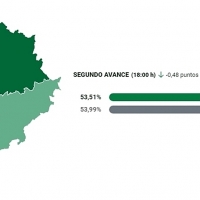 AUTONÓMICAS: Cae la participación medio punto a las 18 horas