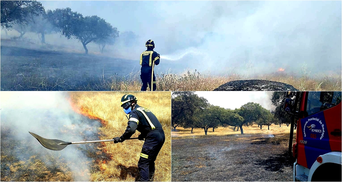 Un incendio quema 100 hectáreas en el entorno de Alburquerque (Badajoz)