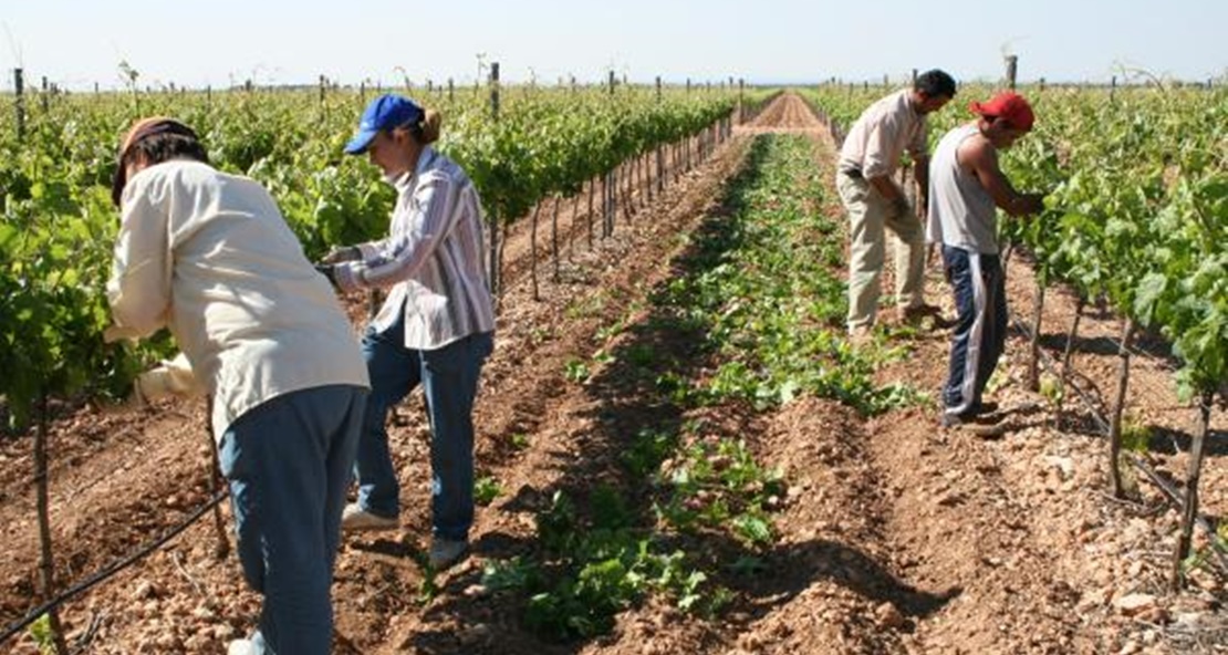 Preocupación por la falta de mano de obra en una región con cerca de 94.000 parados