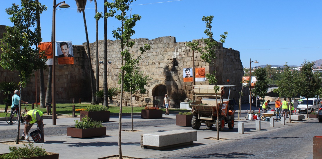 Comienzan los trabajos de pavimentación en los alcorques de Mérida