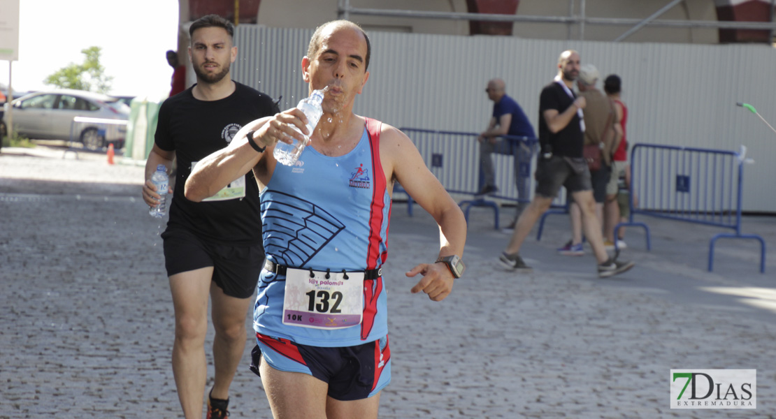 Imágenes de la IV Carrera de la Diversidad III