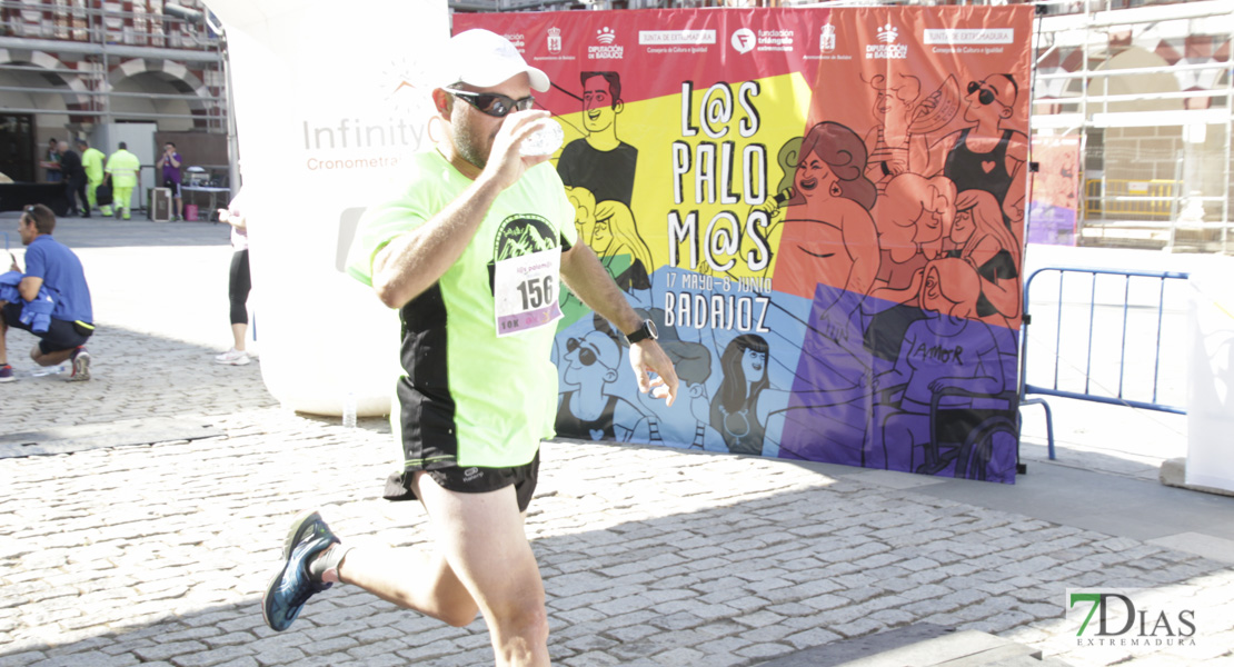 Imágenes de la IV Carrera de la Diversidad III