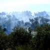 REPOR - Imágenes del incendio forestal entre Almendral y Valverde de Leganés