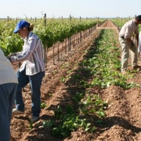 Preocupación por la falta de mano de obra en una región con 94.000 parados