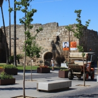 Comienzan los trabajos de pavimentación en los alcorques de Mérida