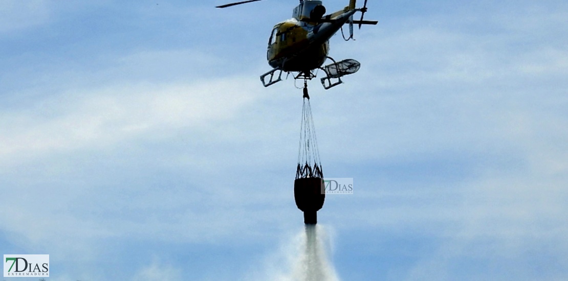 REPOR - Imágenes del incendio forestal entre Almendral y Valverde de Leganés