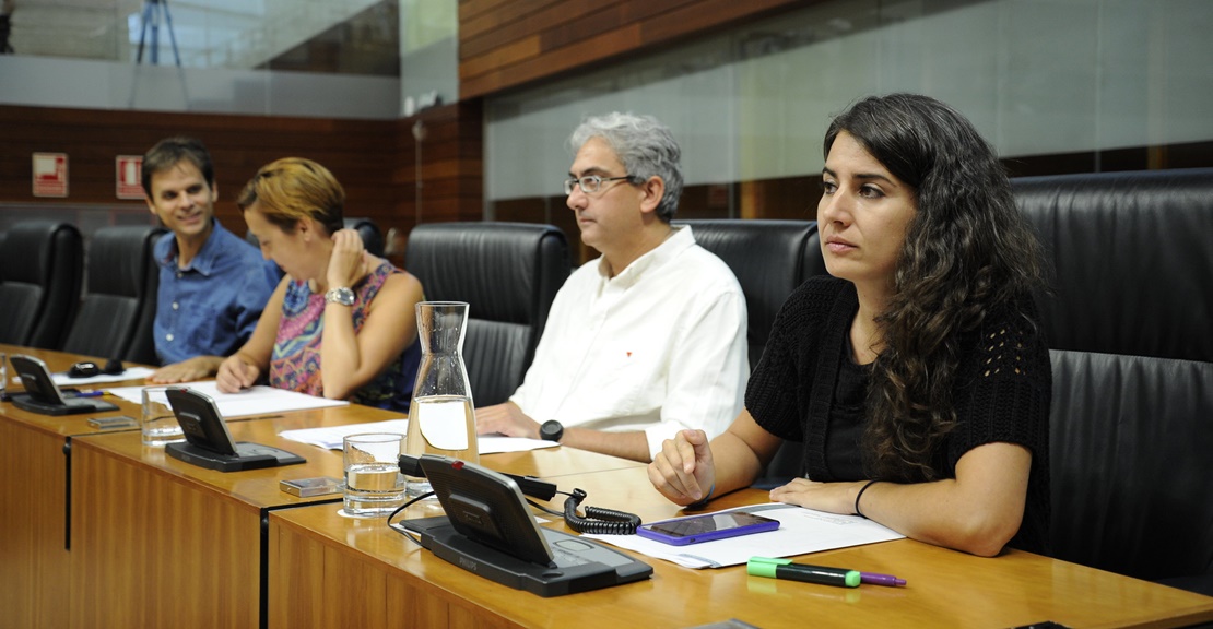 La Asamblea reforma su reglamento para que UpE entre en la Mesa