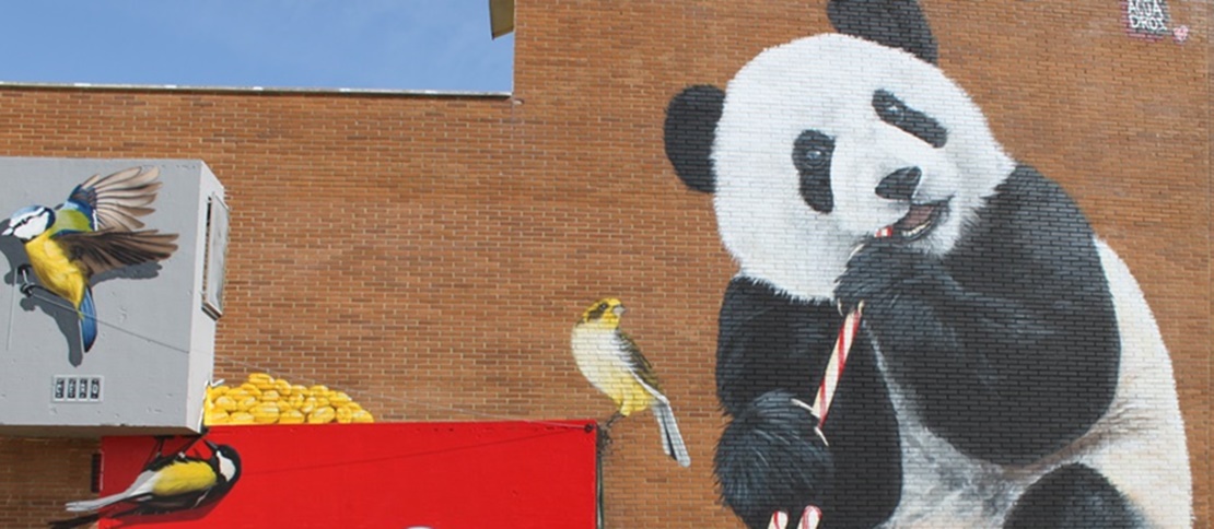 Murales en las paredes de Mérida para difundir los Objetivos de Desarrollo Sostenible