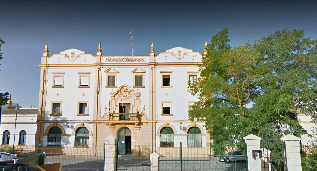 La Estación Enológica de Almendralejo, ‘bodeguero de honor’ en las fiestas de la Piedad