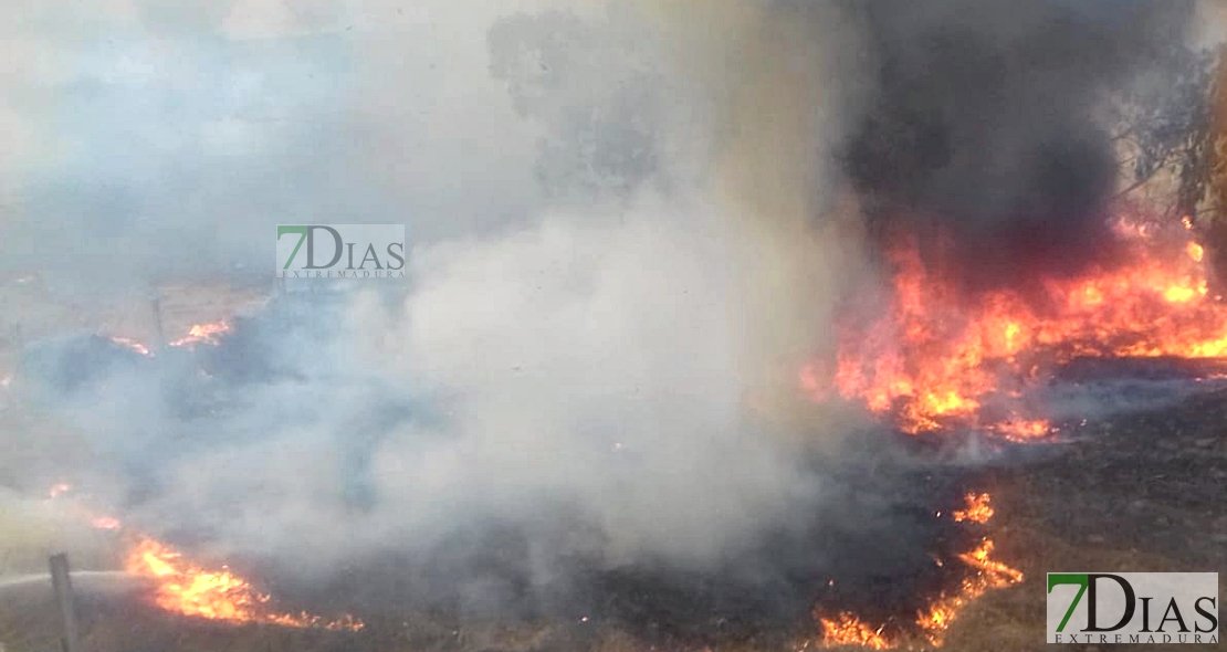 Se activa la alerta de Riesgo Extremo de incendio en Extremadura