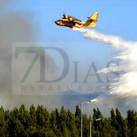 Portugal pide ayuda a España para combatir el grave incendio que asola el país