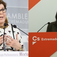 Calderón formará parte de la Comisión de Fomento y Domínguez de la del Pacto de Toledo