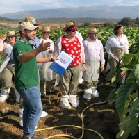 Destacan la importancia de los ensayos en las explotaciones tabaqueras de Talayuela