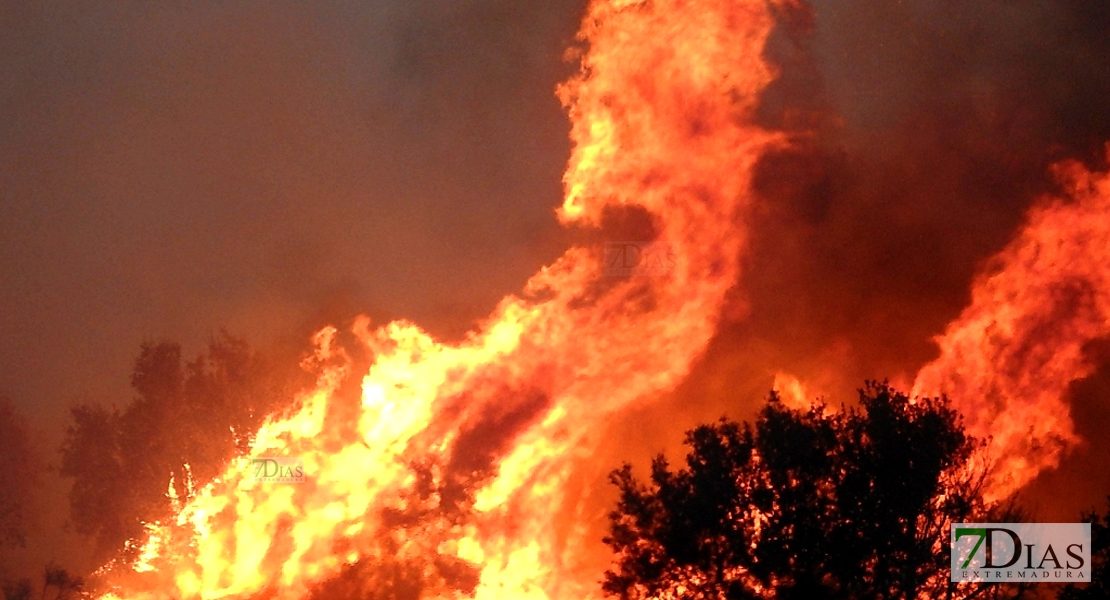 Los Bomberos actúan en 4 incendios en menos de 24 horas