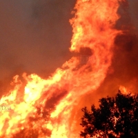 Los Bomberos actúan en 4 incendios en menos de 24 horas