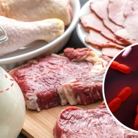 Magrudis era consciente de que su carne estaba contaminada desde febrero