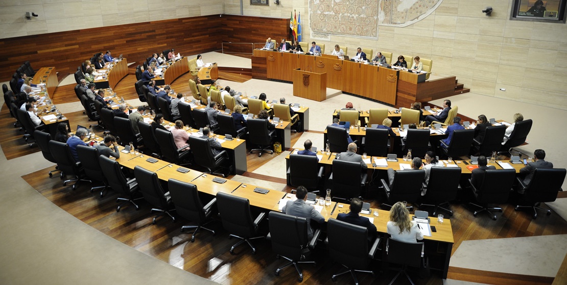 Museo de la Caza, Ambulancias Tenorio y Mina de litio, en el pleno de la Asamblea