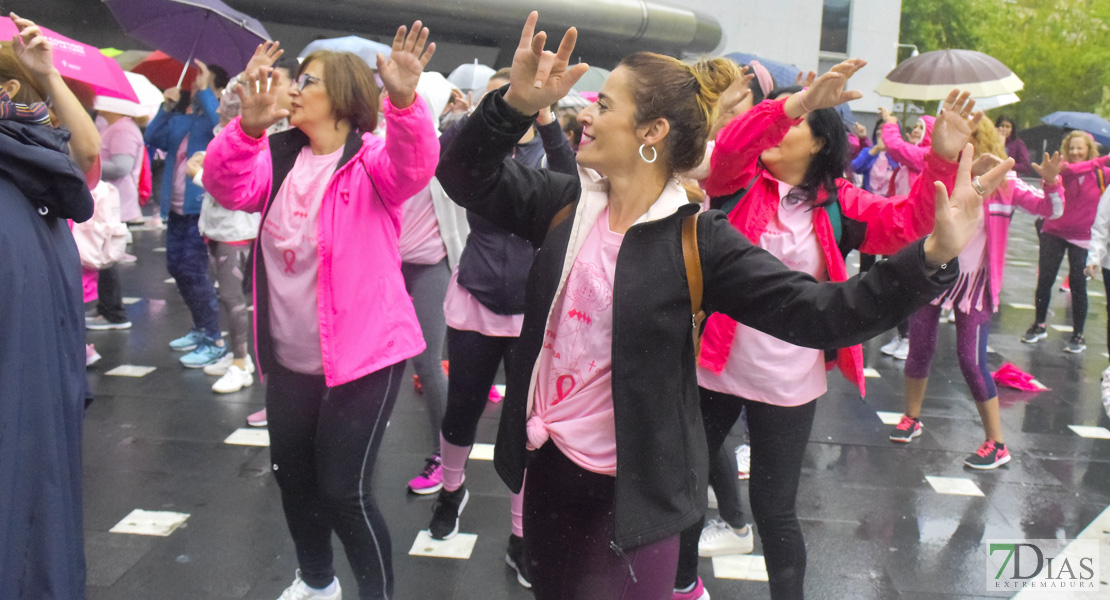 GALERÍA: Imágenes de la V Masterclass de Zumba contra el cáncer de mama