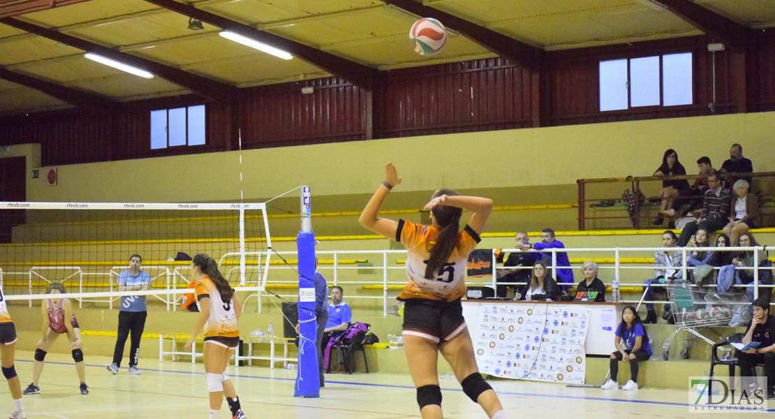 Imágenes del Pacense Voleibol Femenino - Universidad de Valladolid