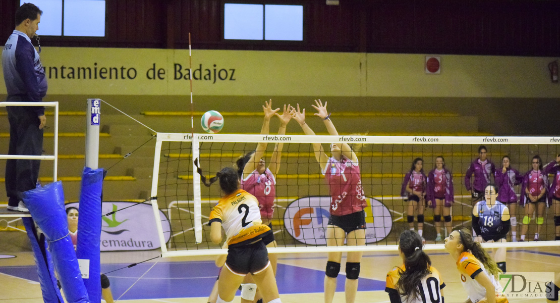 Imágenes del Pacense Voleibol Femenino - Universidad de Valladolid