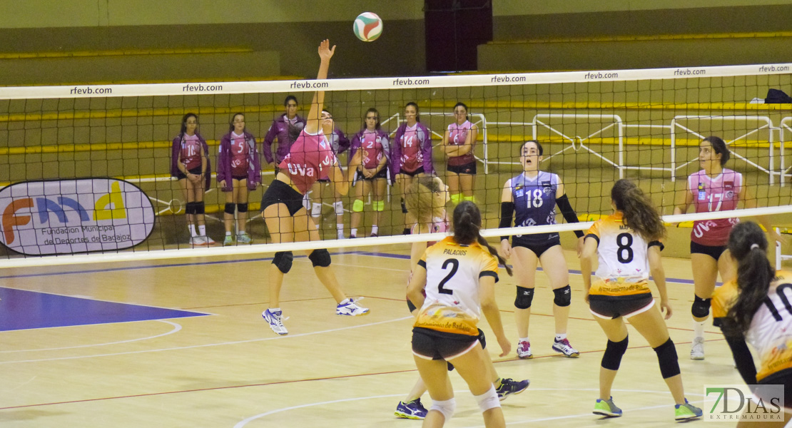 Imágenes del Pacense Voleibol Femenino - Universidad de Valladolid