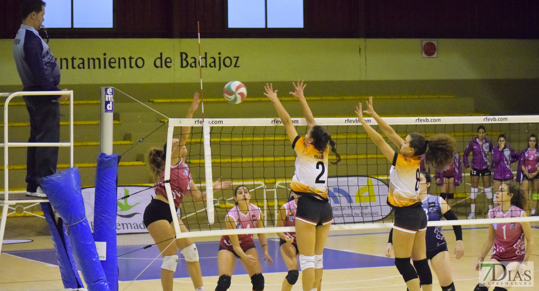 Imágenes del Pacense Voleibol Femenino - Universidad de Valladolid