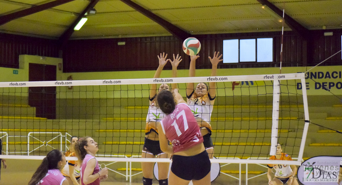 Imágenes del Pacense Voleibol Femenino - Universidad de Valladolid