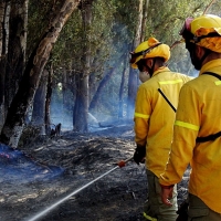 Publicadas las listas definitivas para la promoción a Bombero Forestal Conductor