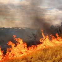 Ecologistas Extremadura denuncia &quot;la contaminación atmosférica en las Vegas del Guadiana&quot;