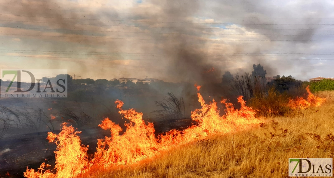 Ecologistas Extremadura denuncia &quot;la contaminación atmosférica en las Vegas del Guadiana&quot;