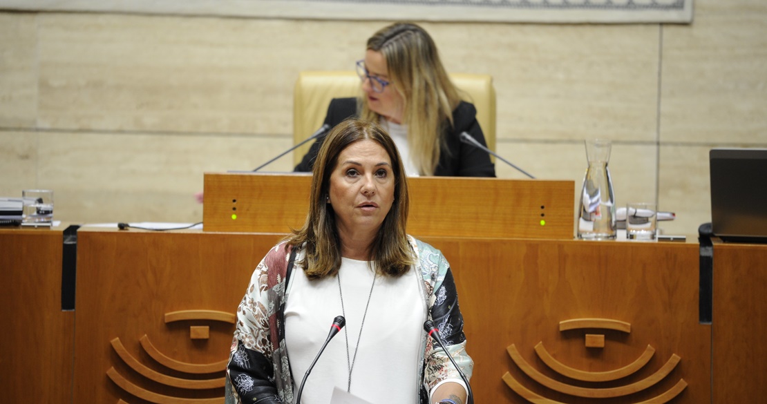 La Ley de Víctimas del Terrorismo de Extremadura continúa su trámite parlamentario