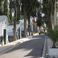 Más barrederas para el cementerio de Mérida