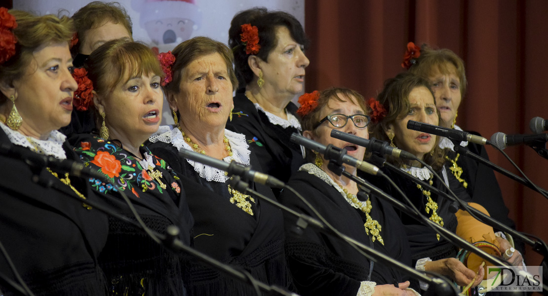 XXXVII Muestra de Villancicos en Cheles