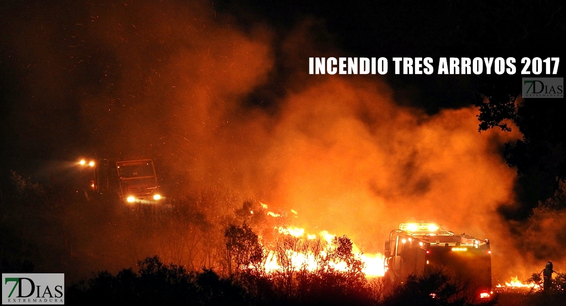 Prevista una quedada para reforestar la zona incendiada de Tres Arroyos