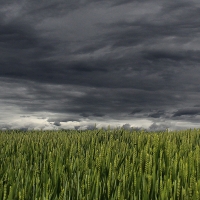 Alerta amarilla por vientos de nuevo este martes en la provincia de Cáceres