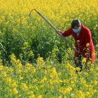 OPINIÓN: ¿Calmará la primavera la fiebre del coronavirus?