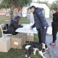 Imágenes de la II Canicross Ciudad de Badajoz I