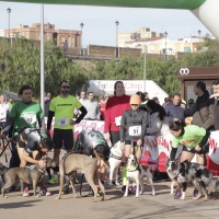 Imágenes de la II Canicross Ciudad de Badajoz II