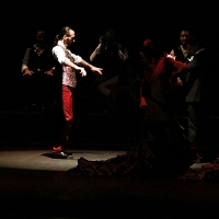 La Diputación de Badajoz apuesta por la formación en el flamenco